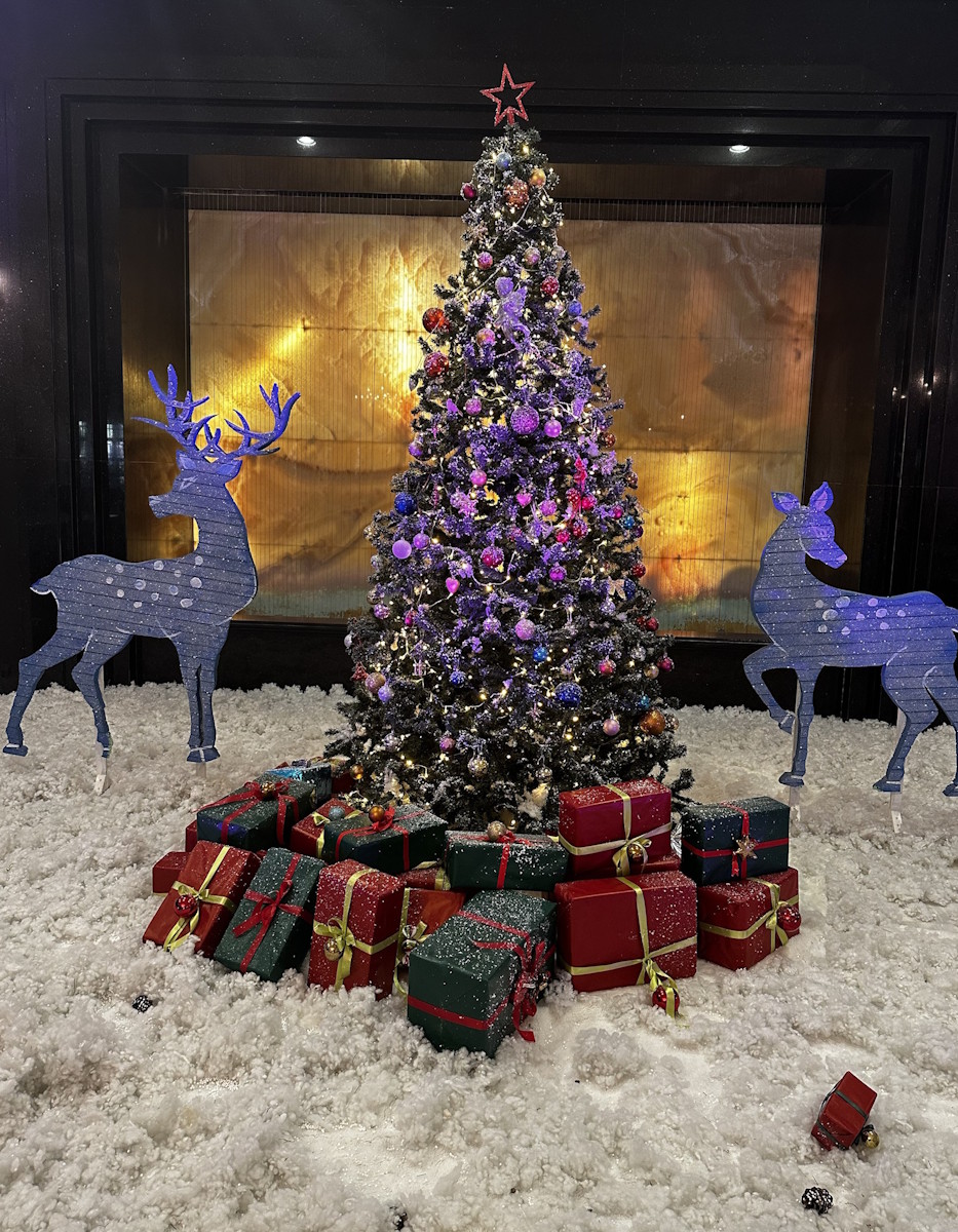 Christmas decorations at the venue during a previous December edition (photo 5)